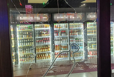 Задержаны и переданы полиции